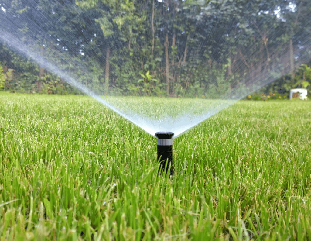 does watering grass in the sun burn it