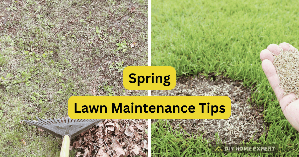 spring lawn maintenance tips